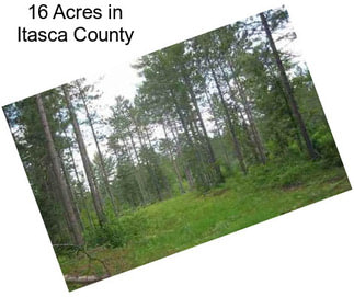 16 Acres in Itasca County