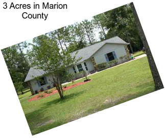 3 Acres in Marion County