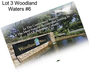 Lot 3 Woodland Waters #6