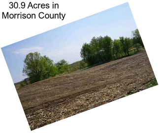 30.9 Acres in Morrison County