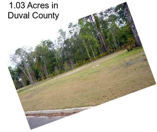 1.03 Acres in Duval County