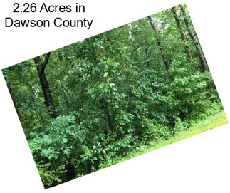 2.26 Acres in Dawson County