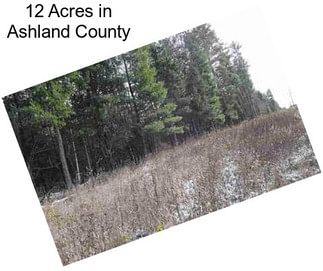 12 Acres in Ashland County