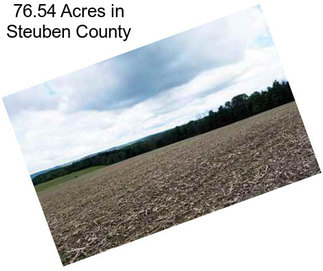 76.54 Acres in Steuben County