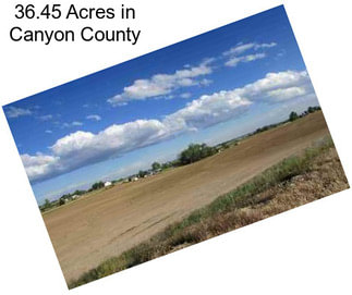 36.45 Acres in Canyon County