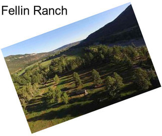 Fellin Ranch