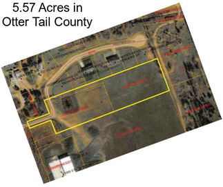 5.57 Acres in Otter Tail County