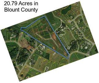 20.79 Acres in Blount County