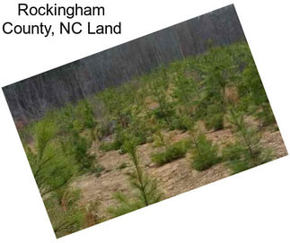 Rockingham County, NC Land