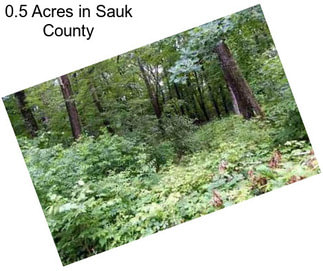 0.5 Acres in Sauk County