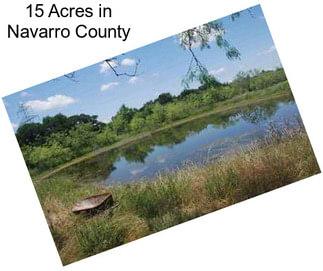 15 Acres in Navarro County