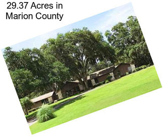 29.37 Acres in Marion County