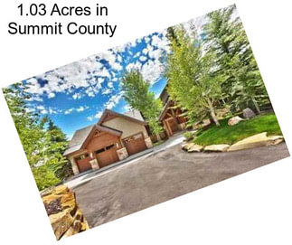 1.03 Acres in Summit County