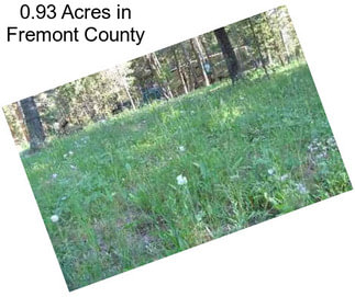 0.93 Acres in Fremont County