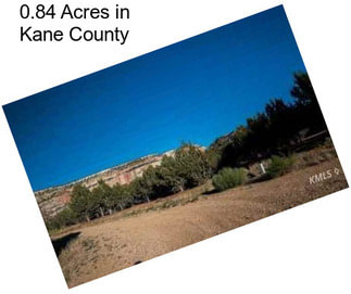 0.84 Acres in Kane County