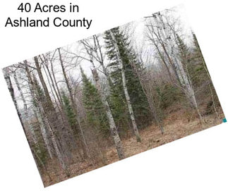 40 Acres in Ashland County