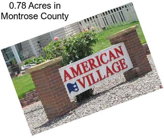0.78 Acres in Montrose County