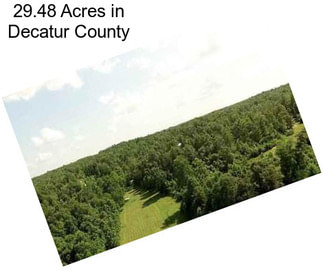 29.48 Acres in Decatur County