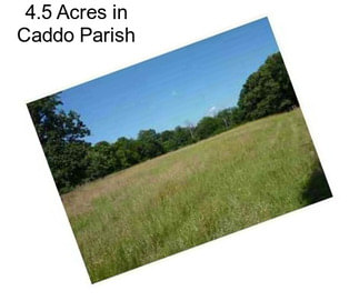 4.5 Acres in Caddo Parish