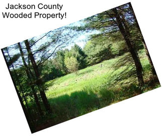 Jackson County Wooded Property!