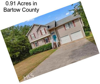 0.91 Acres in Bartow County