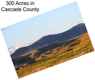 300 Acres in Cascade County