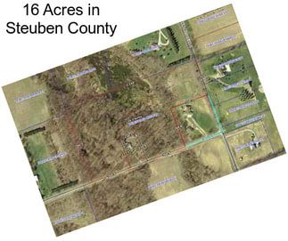 16 Acres in Steuben County