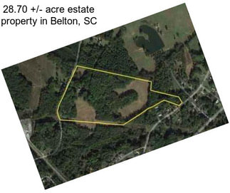 28.70 +/- acre estate property in Belton, SC