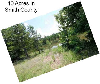 10 Acres in Smith County