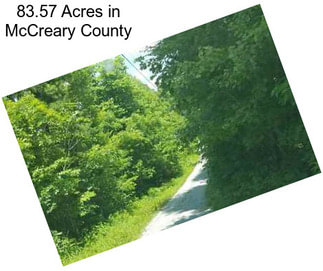 83.57 Acres in McCreary County