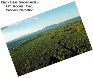 Black Bear Timberlands - Off Seboeis Road, Seboeis Plantation