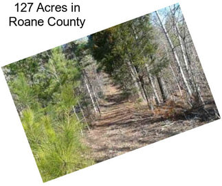 127 Acres in Roane County