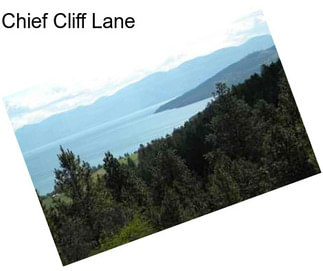 Chief Cliff Lane