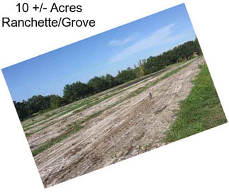 10 +/- Acres Ranchette/Grove