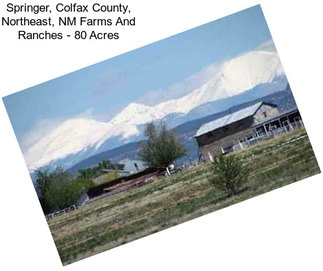 Springer, Colfax County, Northeast, NM Farms And Ranches - 80 Acres