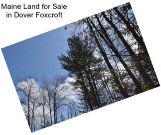 Maine Land for Sale in Dover Foxcroft