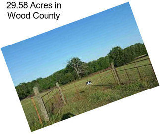 29.58 Acres in Wood County