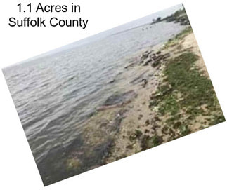 1.1 Acres in Suffolk County