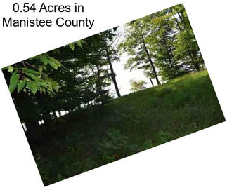 0.54 Acres in Manistee County