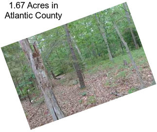 1.67 Acres in Atlantic County