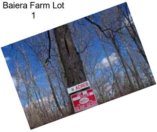 Baiera Farm Lot 1