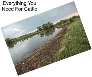 Everything You Need For Cattle