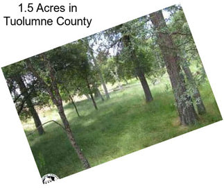 1.5 Acres in Tuolumne County