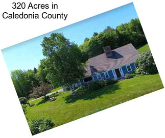 320 Acres in Caledonia County