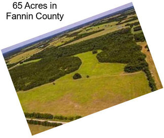 65 Acres in Fannin County