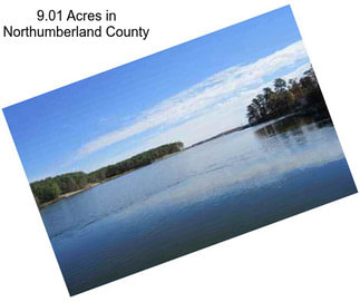 9.01 Acres in Northumberland County