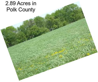 2.89 Acres in Polk County