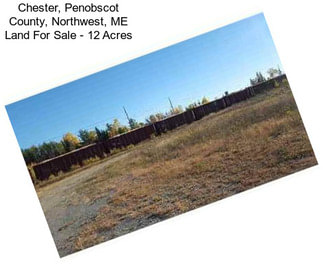 Chester, Penobscot County, Northwest, ME Land For Sale - 12 Acres