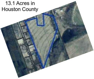 13.1 Acres in Houston County