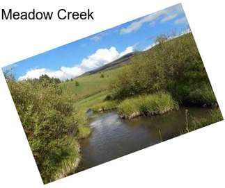 Meadow Creek